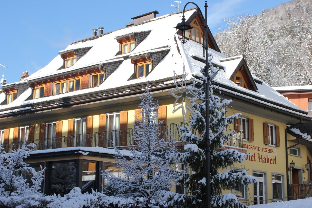 Hotel Haberl Tarvisio Eksteriør billede